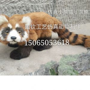 仿真小熊猫