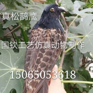 仿真松鹊鹰